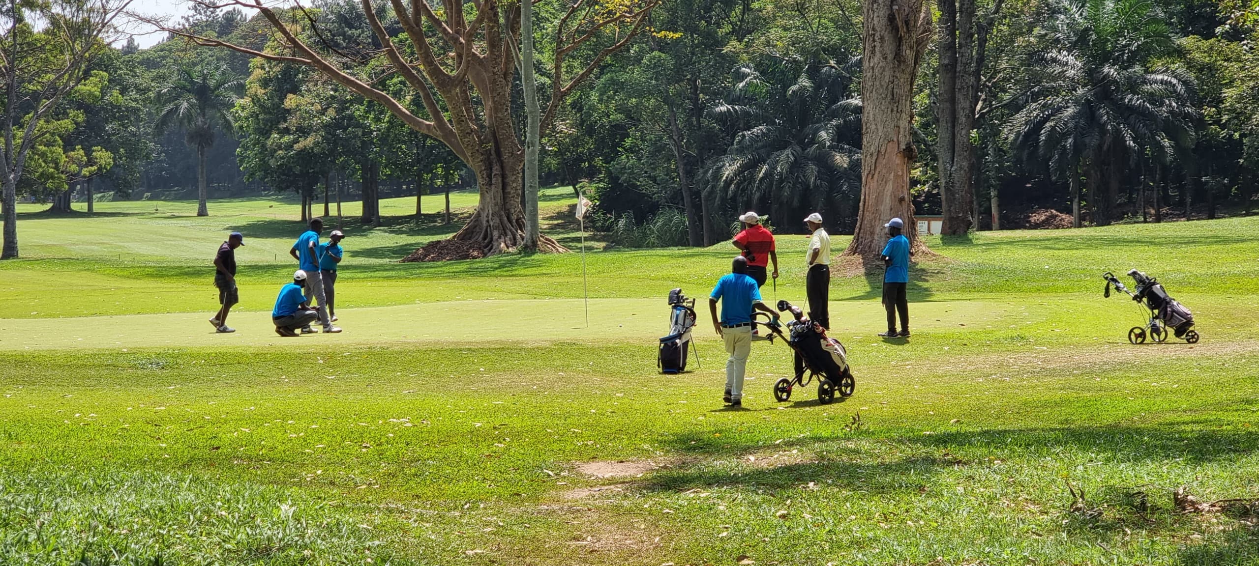 Blog hero background